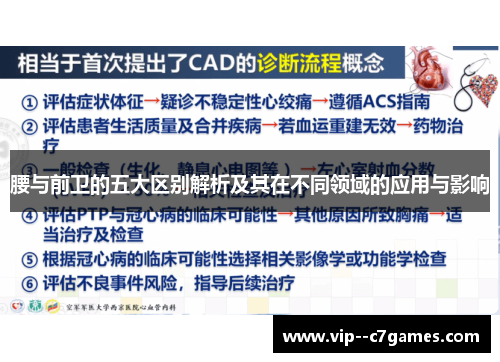 腰与前卫的五大区别解析及其在不同领域的应用与影响